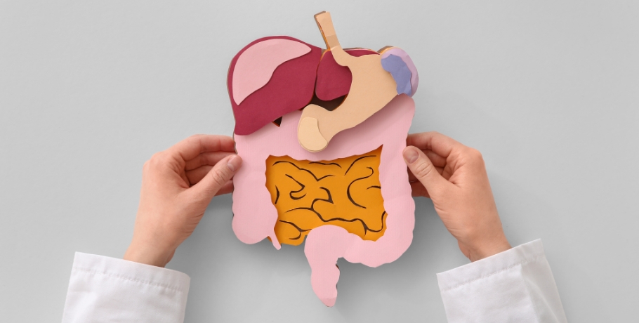 Bile, fat absorption and fat-soluble vitamins – the forgotten link in digestion